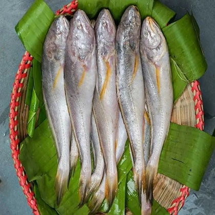 Boro Poa Fish (বড় পোয়া) - Regular