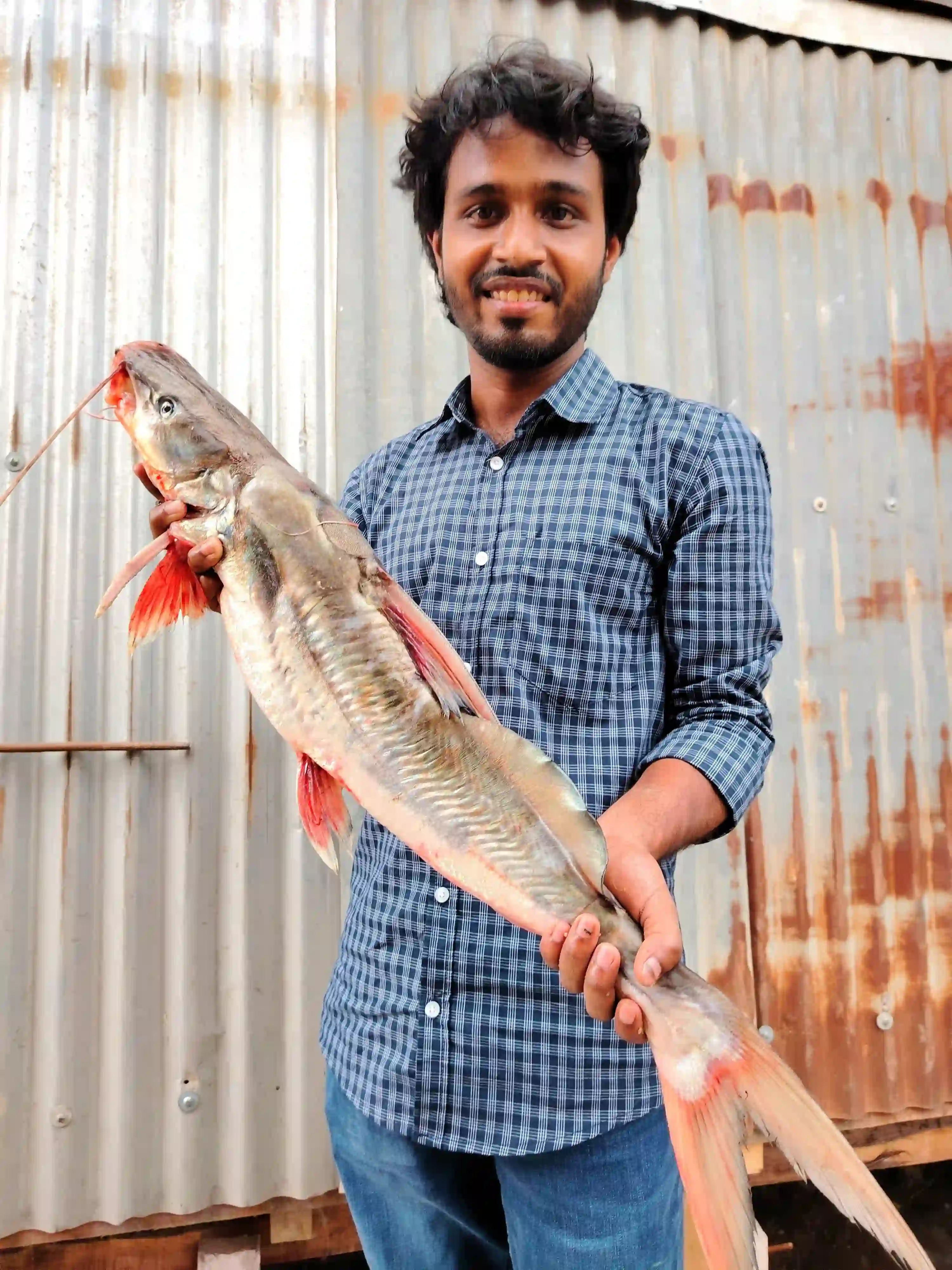 Air Fish (Sperata) (আইড় মাছ) - 4-5 kg