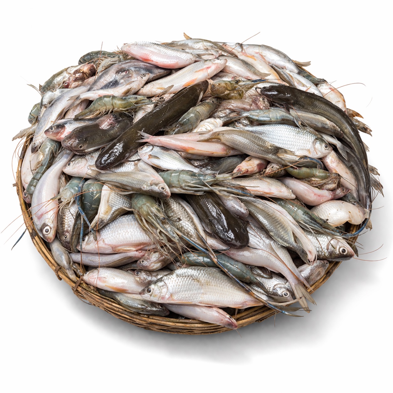 Doshmishali Mach (10-Variety Mixed Fish, Ready to Cook) (দশমিশালি মাছ) - Ready to cook (1 kg after prep)